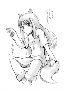 (Noiji Maniacs 2) [Yukai Ehon (Sue)] Ookami-san no Ohikkoshi (Spice and Wolf) - page 4