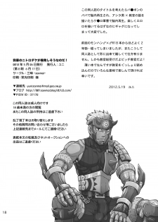 [Zanmai (Yuni)] Wagahai no Nitro Dake ga Bakuhatsushi Souna noda! (Monster Hunter) [Digital] - page 17
