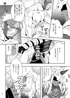 [Zanmai (Yuni)] Wagahai no Nitro Dake ga Bakuhatsushi Souna noda! (Monster Hunter) [Digital] - page 13