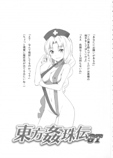 (Shuuki Reitaisai 2) [Nozzo GT (Taishi)] Touhou Kanjuden GT (Touhou Project) - page 2