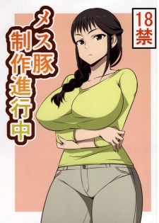 (COMIC1☆9) [Mattari House (Aitsu)] Mesu Buta Seisaku Shinkouchuu (SHIROBAKO) - page 1