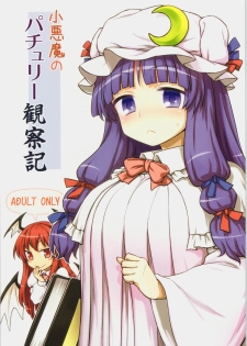 (C88) [110-GROOVE (Itou Yuuji)] Koakuma no Patchouli Kansatsuki (Touhou Project) - page 1