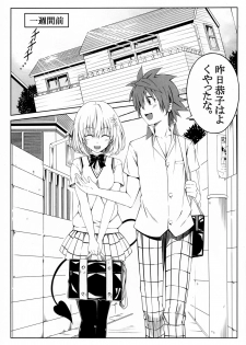 (C88) [MIme Channel (Ume)] To Love-Ru SEX 2 Yami hen (To LOVE-Ru Darkness) - page 3