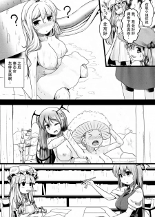 (Shuuki Reitaisai 2) [FSS (Shena Excel)] Aphrodisiac Pickled Homunculus (Touhou Project) [Chinese] [CE汉化组] - page 11