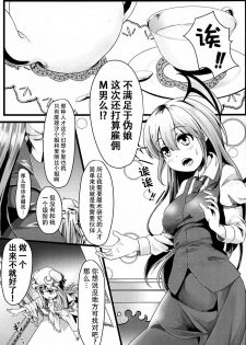 (Shuuki Reitaisai 2) [FSS (Shena Excel)] Aphrodisiac Pickled Homunculus (Touhou Project) [Chinese] [CE汉化组] - page 3