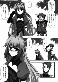 (C85) [Wiz's Studio (Hirono)] PARAPHILIA PLAY (Fate/Apocrypha) - page 17