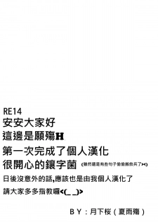 (C80) [RUBBISH Selecting Squad (Namonashi)] RE 14 (Steins;Gate) [Chinese] [月下桜個人漢化] - page 30