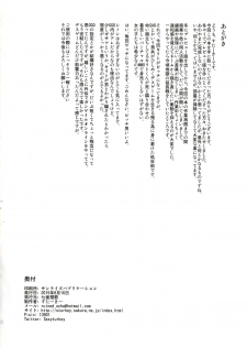 (C88) [Shichimen Soka (Sexyturkey)] Sogekishu ni Osiri Ijirareru Hon (Sword Art Online) [English] [SMDC] - page 22