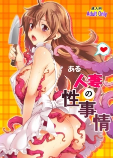 [MS Confidential] Aru Hitozuma no Seijijou [Digital]