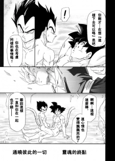 [Dokugunryu (Komakawa Rimi)] MONSTRUO (Dragon Ball Z) [Chinese] - page 7