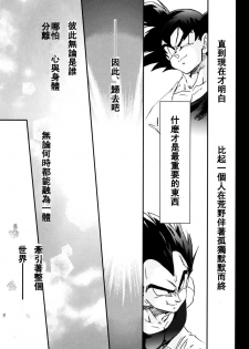 [Dokugunryu (Komakawa Rimi)] MONSTRUO (Dragon Ball Z) [Chinese] - page 29