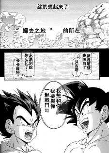 [Dokugunryu (Komakawa Rimi)] MONSTRUO (Dragon Ball Z) [Chinese] - page 28
