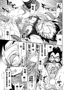 [Dokugunryu (Komakawa Rimi)] MONSTRUO (Dragon Ball Z) [Chinese] - page 13