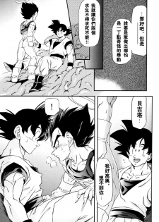 [Dokugunryu (Komakawa Rimi)] MONSTRUO (Dragon Ball Z) [Chinese] - page 19