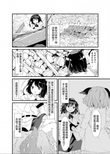 (Reitaisai 12) [Satei (s73d)] Ayashoku (Touhou Project) [Chinese] [无毒汉化组] - page 4