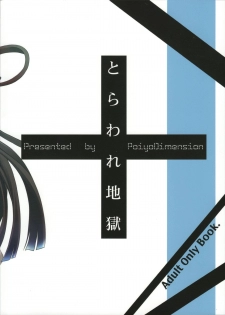 (C84) [Poiyo Dimension (Meguro Linu)] Toraware Jigoku - page 22