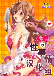 [MS Confidential] Aru Hitozuma no Seijijou [Chinese] [无毒汉化组] [Digital] - page 1