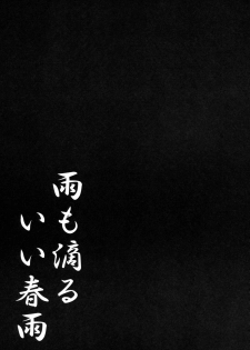 (C88) [Kinokonomi (kino)] Ame mo Shitataru Ii Harusame (Kantai Collection -KanColle-) - page 14