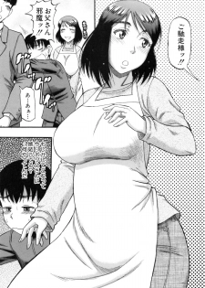 [Narushima Godou] ...Soshite Haha wa Mesu ni Naru - page 30