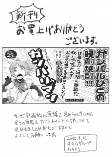 (C88) [A.S.G Group (Misonou)] Monster to Orusuban Suru Seikatsu (Dragon Quest V) - page 27