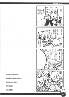 (FF11) [Genshokuya (Mimura Ryou)] Kansai Yuuki [Chinese] - page 12