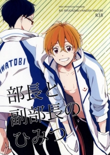 (C87) [skyfish (Hisato)] Buchou to fukubuchou no himitsu (Free!)