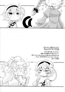 (Reitaisai 11) [Hinaprin (Ikuta Takanon)] Cat's Works! (Touhou Project) [English] [Cazzeggione] - page 17