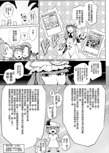 (Kouroumu 10) [Totsugasa (Sagattoru)] Kettou Ingi Ihen - Duelitia Sensation (Touhou Project) [Chinese] [M系資源聚合漢化組] - page 19
