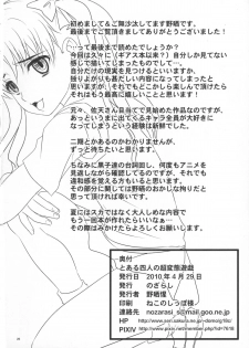 (COMIC1☆4) [Nozarashi (Nozarashi Satoru)] Toaru Yonin no Abnormal Play (Toaru Kagaku no Railgun) - page 25