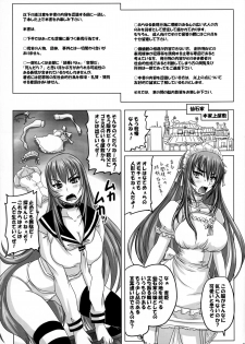 (C85) [Nozarashi (Nozarashi Satoru)] Iede Shitekita Ojou-sama o Ie de Katte Haramasetemita. - page 3