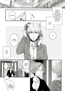 (C83) [Swallow Sky (Rihara)] CRAZY CAT LOVER (Persona 4) [English] [Kuro] - page 2