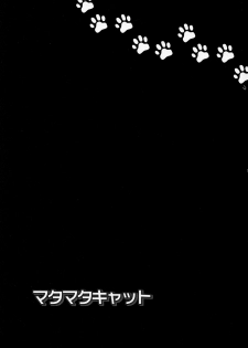 (C87) [Yomosugara (Yomogi Ringo)] Matamata Cat (VOCALOID) - page 17