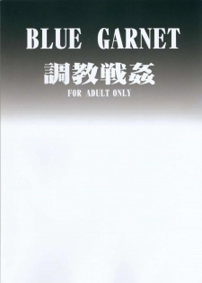 (C89) [Blue Garnet (Serizawa Katsumi)] Choukyou Senkan (Kantai Collection -KanColle-) - page 26