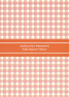 (Reitaisai 8) [Satellites (Satetsu)] Kafun Yuuka Chuuihou (Touhou Project) [Chinese] [キリユ個人漢化] - page 20