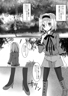 [Nijusei (Kanchela)] Kawaisouna Alice (Touhou Project) [Digital] - page 10