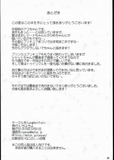 (C89) [LongHornTrain (CyoCyo)] Isekai Princess (Go! Princess PreCure, Suite PreCure) - page 26