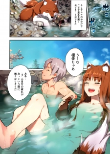 (C89) [Ajisaidenden (Kawakami Rokkaku, Takanashi Rei)] Wacchi to Nyohhira Bon FULL COLOR (Spice and Wolf) - page 6