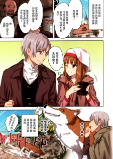 (C89) [Ajisaidenden (Kawakami Rokkaku, Takanashi Rei)] Wacchi to Nyohhira Bon FULL COLOR (Spice and Wolf) [Chinese] [脸肿汉化组] - page 6