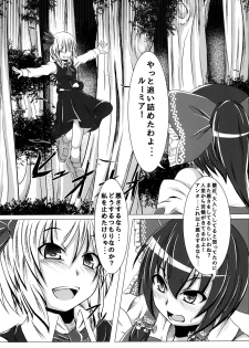 [Ikuiku Com (Jii Jii Sachira)] Namida no Teinentaisyoku (Touhou Project) [Digital] - page 3