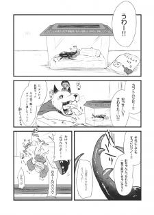 (C89) [02 (Harasaki)] Shinmyoumaru VS Caucasus Ookabuto (Touhou Project) - page 2