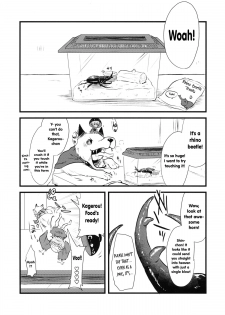 (C89) [02 (Harasaki)] Shinmyoumaru VS Caucasus Ookabuto | Shinmyoumaru VS Japanese Rhinoceros Beetle (Touhou Project) [English] - page 2