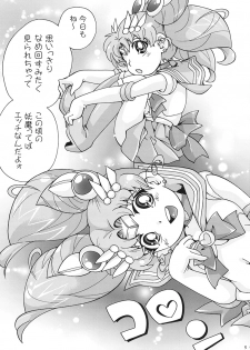 (C88) [Puchi-ya (Hoshino Fuuta)] Chibikone (Bishoujo Senshi Sailor Moon) - page 4