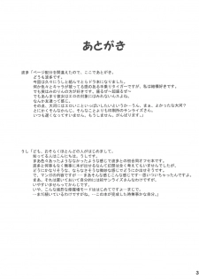 (C75) [Transistor Baby (Hata, Ushi)] Doratora (Toradora!) - page 33