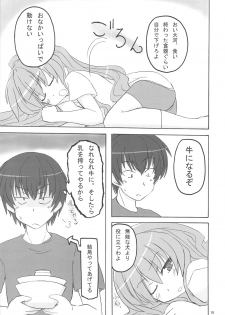 (C75) [Transistor Baby (Hata, Ushi)] Doratora (Toradora!) - page 19