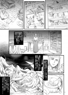 (C89) [Flieger (Ten)] Seishokusha - page 12