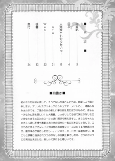 (C89) [U.R.C (Momoya Show-Neko)] Ningyohime to Moyaritai! (Go! Princess PreCure) - page 4
