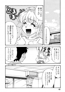 [Tekkannon Chiya] Ajisaisou Monogatari - page 44