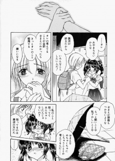 [Kirisawa Mint] Meikyuu no Bara - page 18