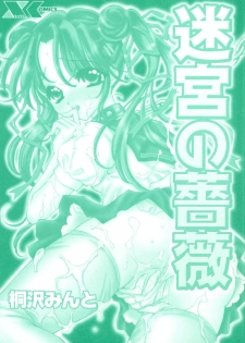 [Kirisawa Mint] Meikyuu no Bara - page 5