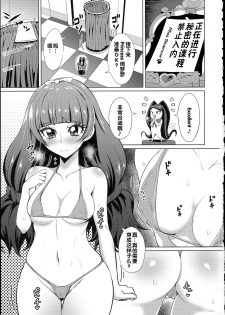 (C89) [Wareme (Koppe)] Nayameru☆Princess (Go! Princess PreCure) [Chinese] - page 3